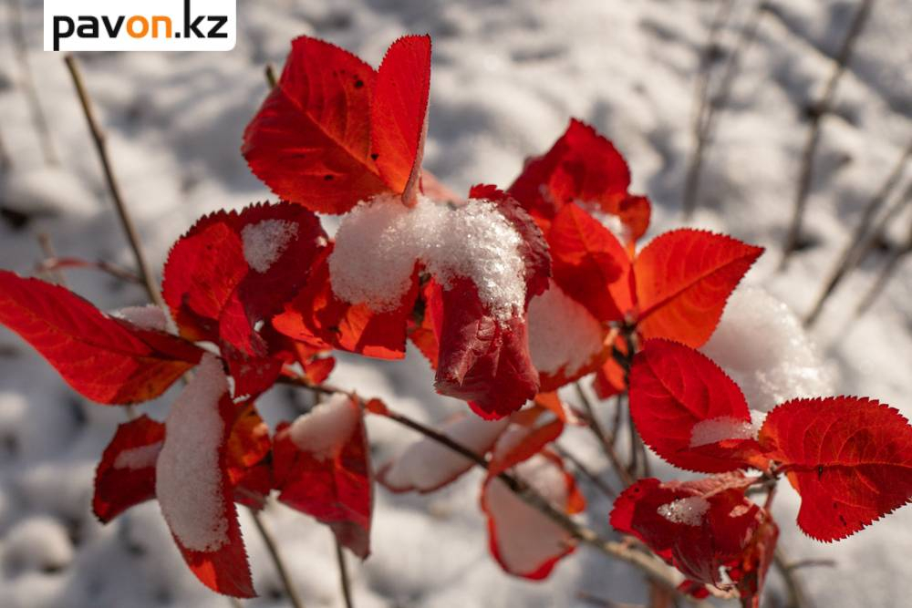 75d048a14534a66097c093b7c9a22e95aa249176