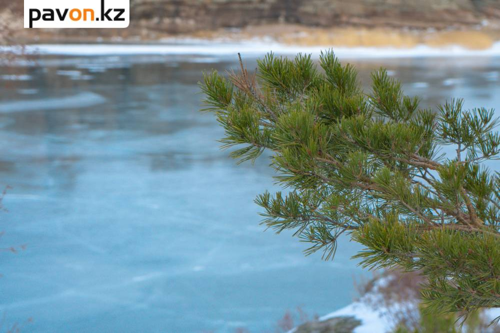 83446ad7932f1a727ae9b9399617cc4adcc04ef4