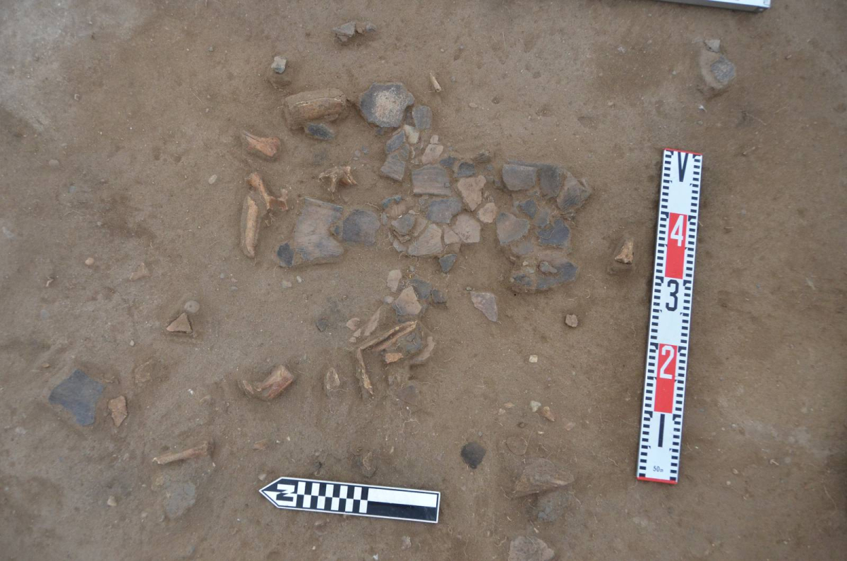 ecc1bdeb297d7c0250118f39a53db40bcdfe3224