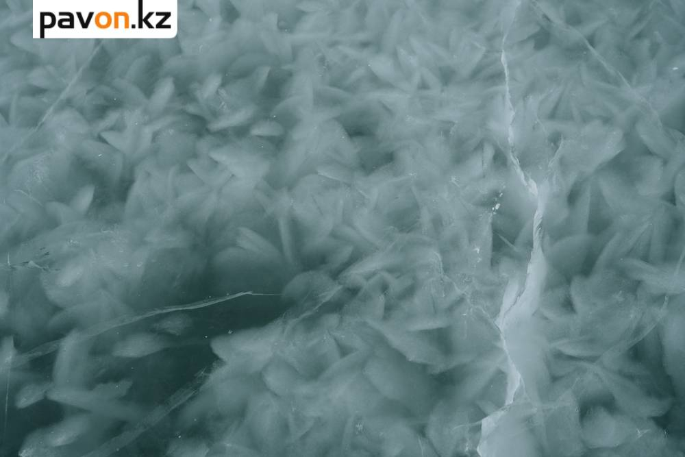 fcab423cd90e25d1bac4b6a414bc0d097de04c22